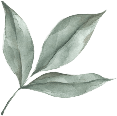 Modern oasis leaf